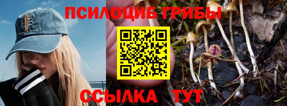 Заволжье  Псилоцибиновые грибы ЛСД  Псилоцибиновые грибы MAGIC MUSHROOMS  наркотики  Вход с VPN 
