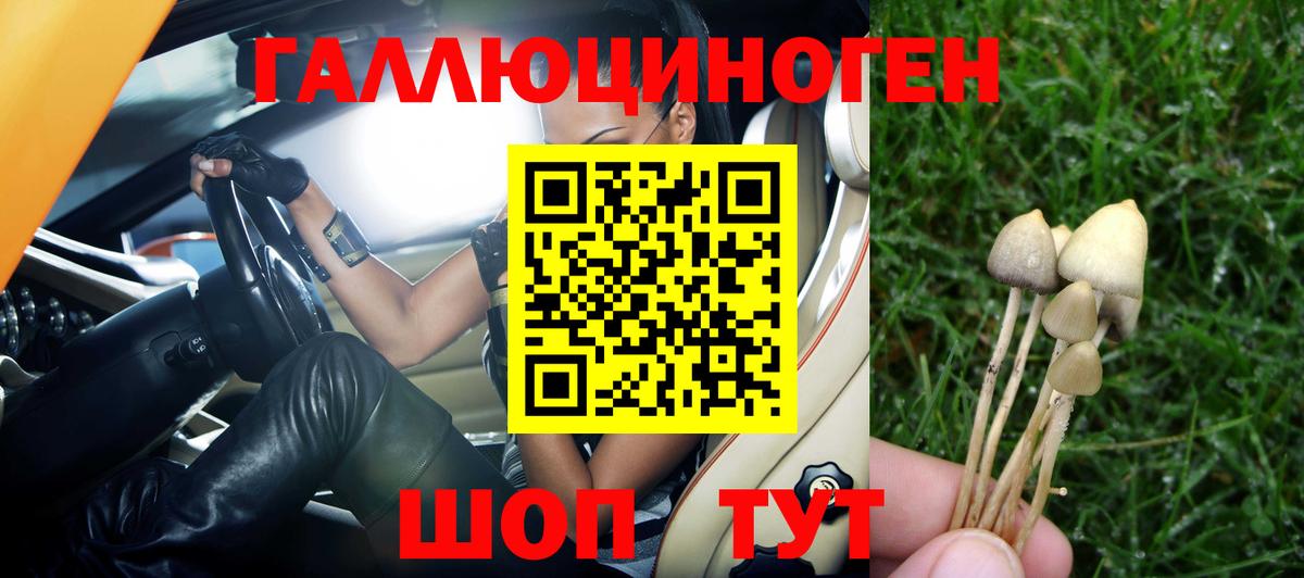 Псилоцибиновые грибы Psilocybe Заволжье
